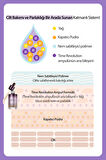 Renk Eşitsizliklerini Nötrleyen Pürüzsüzleştiren Nemlendirici Makyaj Bazı Layering Fit Base (Violet)