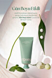 Shea Yağı İçeren Nemlendirici El Kremi A'PIEU Juicy Pang Perfume Hand Cream (Basil)