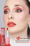 Mat Bitişli, Dolgun ve Pürüzsüz Görünüm Sunan Tint Peripera Ink Mood Matte Tint (04 Soft Cedarwood)