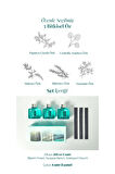 KUNDAL Jeju Serisi Parfüm Difüzörü KUNDAL Perfume Diffuser Jeju Edition 200ml 3Adet