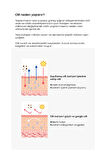 Aydınlatıcı Niacinamide Ve Vitamin Kompleksi İçeren Yaşlanma Karşıtı Premium Göz Çevresi Kremi