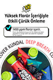 Bitkisel Özlü, Nane Aromalı Diş Macunu KUNDAL Deep Breath Cover Toothpaste (Herb Mint)