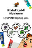 Bitkisel Özlü, Nane Aromalı Diş Macunu KUNDAL Deep Breath Cover Toothpaste (Herb Mint)