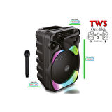 Auris KLN170 10W 8 inç Kablosuz Mikrofonlu RGB Bluetooth Hoparlör