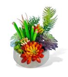 Yapay Çiçek Kaktüs Sukulent Aranjmanı Mokka Renk Plastik Saksıda 10 adet Karışık Model Skulent