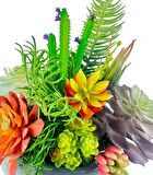 Yapay Çiçek Kaktüs Sukulent Aranjmanı Mokka Renk Plastik Saksıda 10 adet Karışık Model Skulent