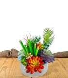 Yapay Çiçek Kaktüs Sukulent Aranjmanı Mokka Renk Plastik Saksıda 10 adet Karışık Model Skulent