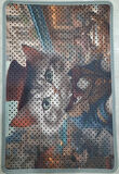 Kedi Tuvaleti Paspası, Kedi Kumu Paspası, 40*60