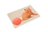 Kedi Tırmalama Paspası, Hasır-Örgülü Kedi Paspası, Baskılı-40*60