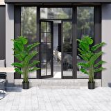 Yapay Ağaç Monstera Deve Tabanı Ağacı 160 cm 12 Yaprak