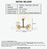 TT009-4 ESK TT Aydınlatma Eskitme Rengi Kaplama 4 lü Bal Camlı Lüks Avize