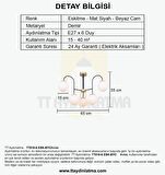 TT010-6 ESK TT Aydınlatma Eskitme Rengi Kaplama 6 lı Beyaz Camlı Lüks Avize