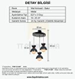 TT007-3Y ANT TT Aydınlatma Mat Antrasit 3 lü Yuvalak Lüks Avize