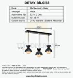 TT007-3S ANT TT Aydınlatma Mat Antasit 3 lü Sıralı Lüks Avize