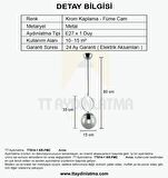 TT014-1 KR TT Aydınlatma Krom Kaplama Füme Camlı Tekli Avize