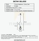 TT015-1 KR TT Aydınlatma Krom Kaplama Füme Camlı Tekli Avize