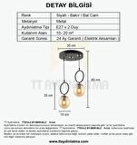 TT014-2 SY TT Aydınlatma Mat Siyah - Bakır Bal Camlı 2 li Avize