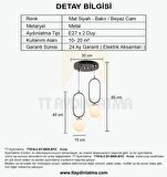 TT016-2 SY TT Aydınlatma Mat Siyah - Bakır Beyaz Camlı 2 li Avize