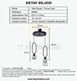 Tt016-2 Sy Mat Siyah Füme Camlı 2 Li Avize