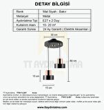 TT017-2-SY TT Aydınlatma Mat Siyah 2 li Avize