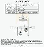 TT014-2 KR TT Aydınlatma Krom Kaplama Füme Camlı 2 li Avize