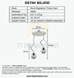 TT015-2 KR TT Aydınlatma Krom Kaplama Füme Camlı 2 li Avize