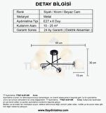 TT027-6 SY-KR TT Aydınlatma Mat Siyah - Krom 6 lı Lüks Avize