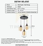 TT029-3Y-SY-BAL  TT Aydınlatma Mat Siyah - Bal 3 lü Yuvarlak Avize