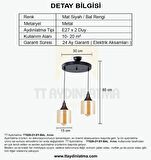 TT029-2Y-SY-BAL  TT Aydınlatma Mat Siyah - Bal 2 li Yuvarlak Avize