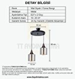 TT029-2Y-SY-FÜME TT Aydınlatma Mat Siyah - Füme 2 li Yuvarlak Avize
