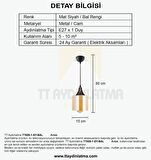 TT029-1-SY-BAL  TT Aydınlatma Mat Siyah - Bal Tekli Avize