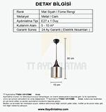 TT029-1-SY-FÜME TT Aydınlatma Mat Siyah - Füme Tekli Avize