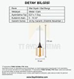 TT029-1-SY-BAL-YTK  TT Aydınlatma Mat Siyah - Bal Yatak Başlık Avize