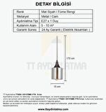 TT029-1-SY-FÜME-YTK TT Aydınlatma Mat Siyah - Füme Yatak Başlık Avize