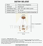TT005-LDTPL-FSR TT Aydınlatma Burgu Modeli Fransız Sarısı Kaplama Ledli Toplu 3 Renk Modüllü Ledli A