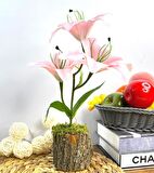 Yapay Çiçek Kütük Saksıda Islak Lilyum Pembe Renk 3 Çiçekli Gerçeksi Doku