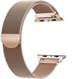 Gpack Apple Watch Uyumlu 42 mm Kılıf Metal Kayış Kordon 