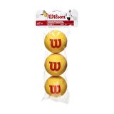 Wilson Starter Foam Sünger Top 3'lü
