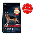 Smart Heart Gold Adult Power Maxx Tavuklu Yetişkin Köpek Maması 1 Kg AÇIK