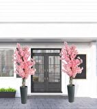 Yapay Ağaç Pembe Sakura Bahardalı Ağacı Siyah Uzun Kumsal Vazoda 200cm
