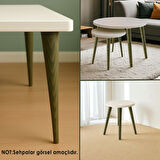 Ahşap Ayak 50 Cm Orman Yeşili M8 Civatalı Bağlantı Aparatlı Dolap Mobilya Koltuk Kanepe Destek Ayağı Ayakları