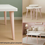 Ahşap Ayak 50 Cm Açık Pembe M8 Civatalı Bağlantı Aparatlı Dolap Mobilya Koltuk Kanepe Destek Ayağı Ayakları