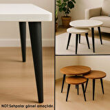 Ahşap Ayak 40 Cm Siyah M8 Civatalı Bağlantı Aparatlı Mobilya Tabure Sehpa Masa Destek Ayağı