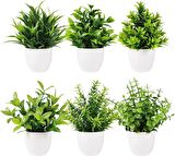 6lı Set Yapay Çiçek Beyaz Saksıda 6 Çeşit Yeşil Bitki