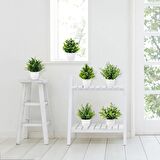 6lı Set Yapay Çiçek Beyaz Saksıda 6 Çeşit Yeşil Bitki