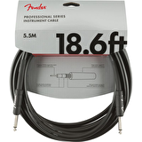 Fender Professional Inst SS 18.6