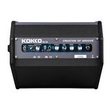 Flanger ED-35 Elektrik Davul Amfisi - 30W