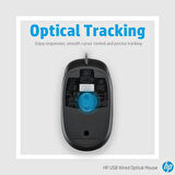 HP QY777AA fare (800 dpi, USB, 2-Button) Siyah MOUSE