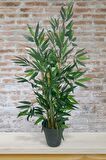 Yapay Ağaç Bambu Ağacı 3 Gövdeli 90*40cm Siyah Saksılı