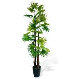 Yapay Ağaç Yelpaze Palmiye 4Katlı Fanpalm 32 Yaprak 170*65cm